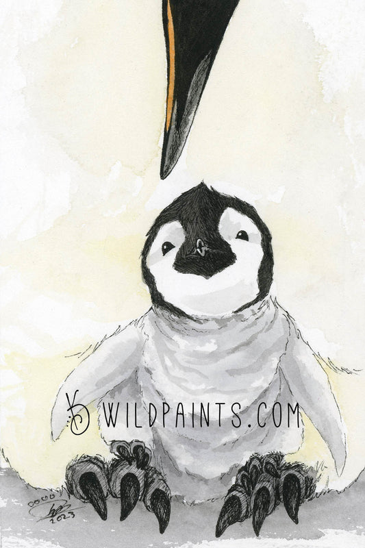 Baby Penguin - Art Print