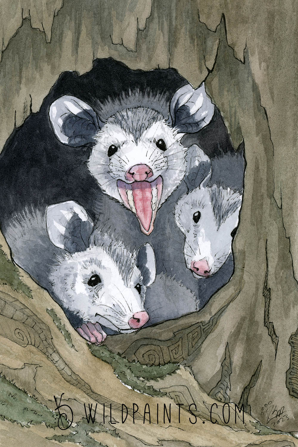 Opossums - Greeting Card