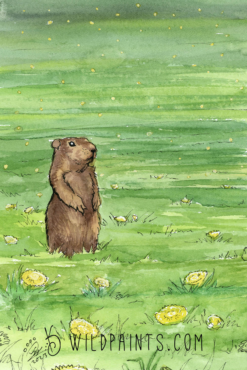 Groundhog - Greeting Card