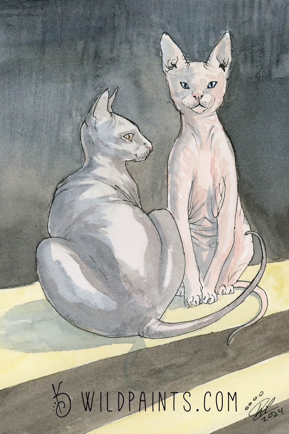 Sphynx Cats - Greeting Card