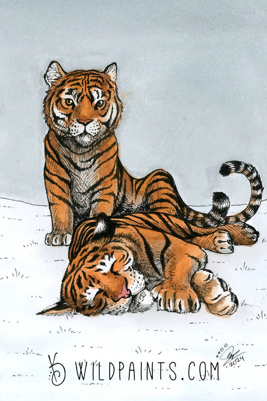 Tigers - Art Print