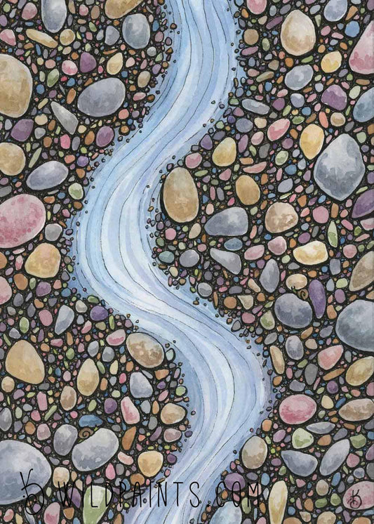Pebble Brook - Art Print