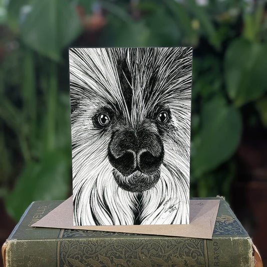 Porcupine - Greeting Card