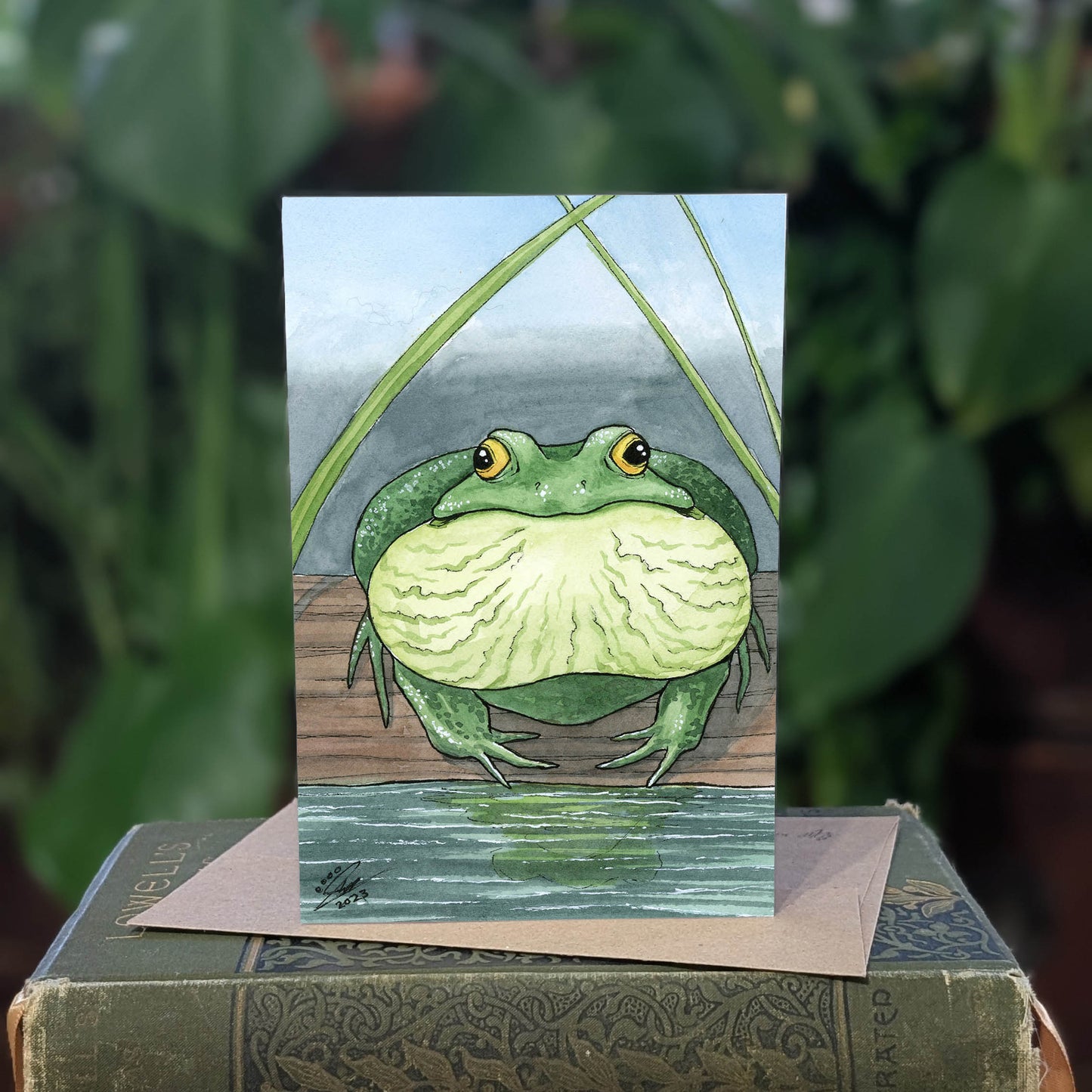 Bullfrog - Greeting Card