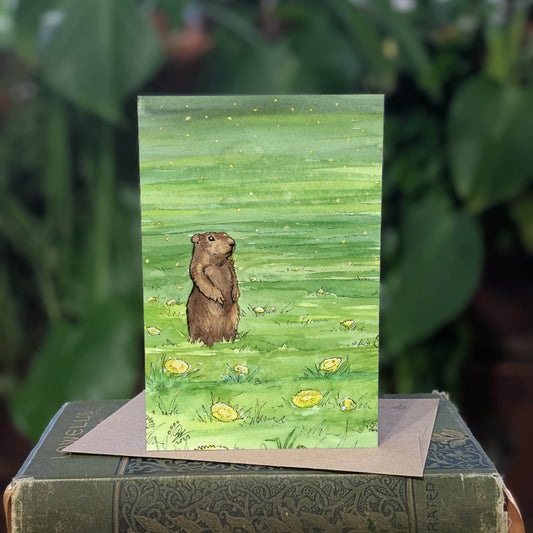 Groundhog - Greeting Card