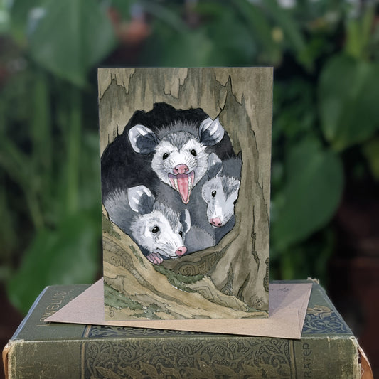 Opossums - Greeting Card