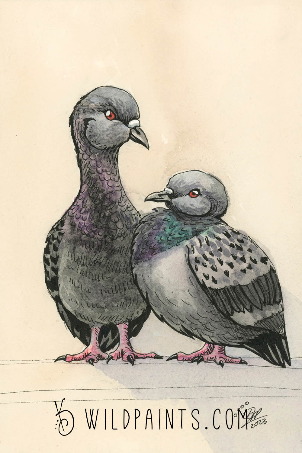 Pidgeon - Greeting Card