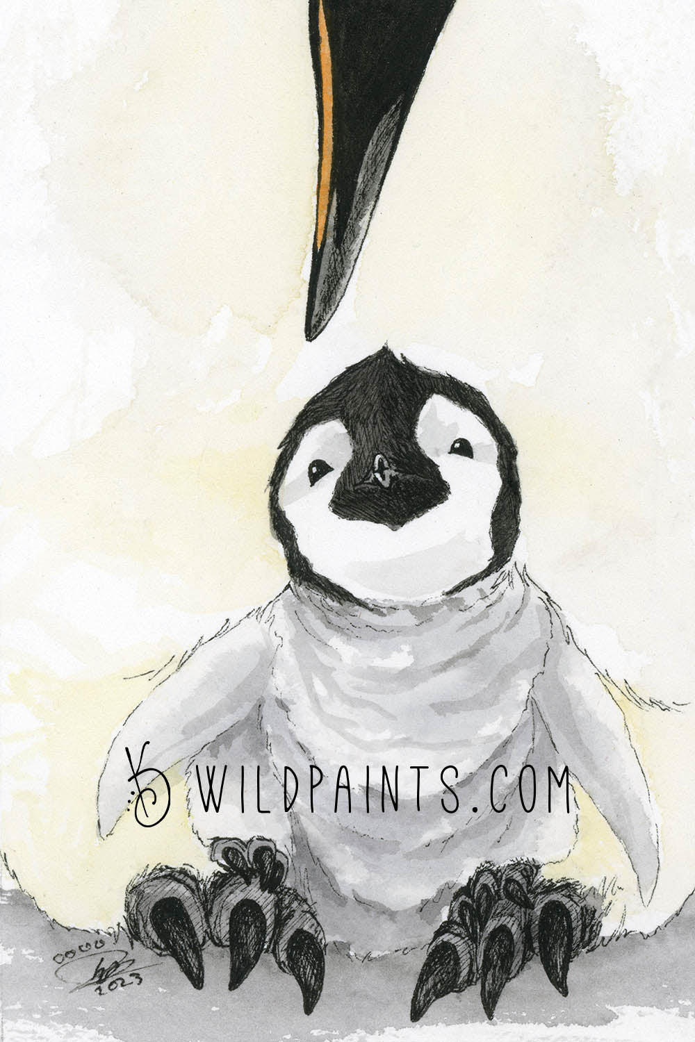 Penguin Chick - Greeting Card