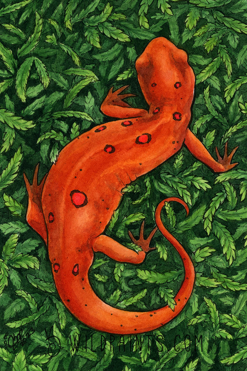 Newt - Greeting Card