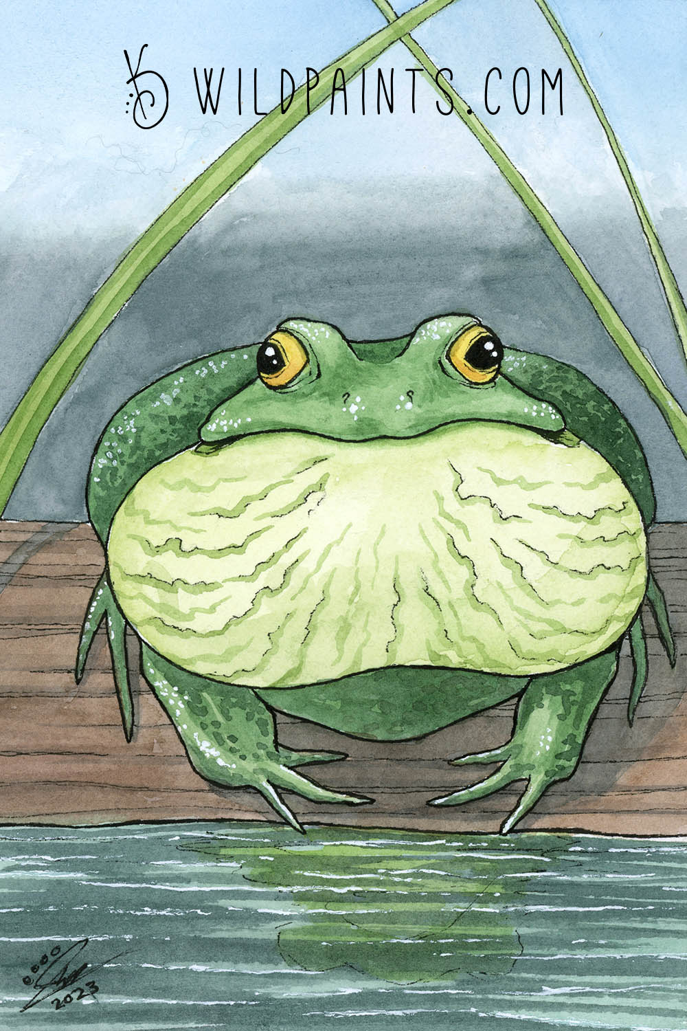 Bullfrog - Greeting Card