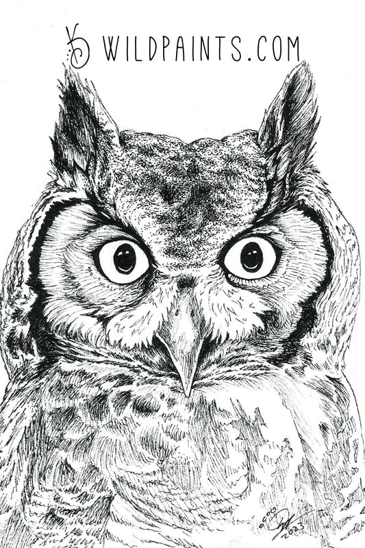 Great Horned Owl - Art Print