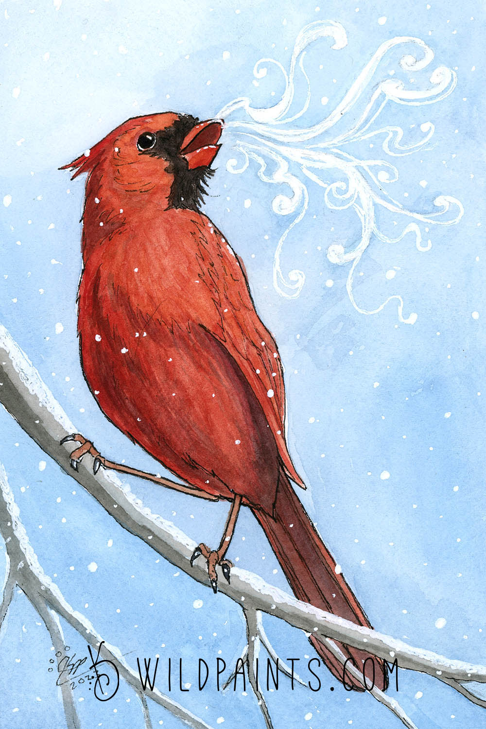 Cardinal - Greeting Card