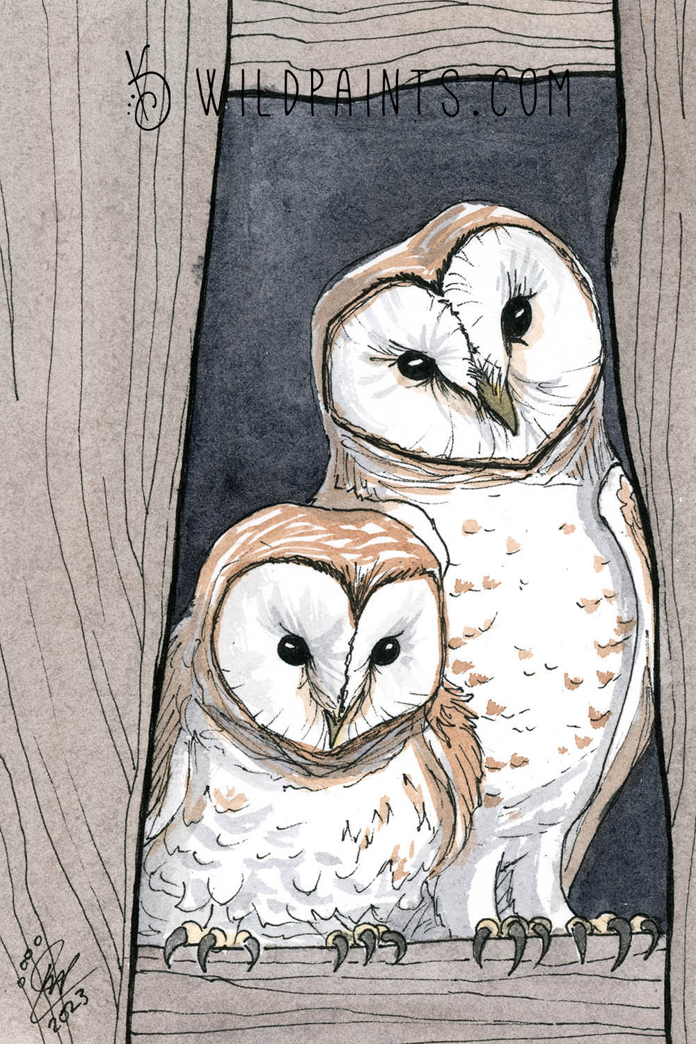 Barn Owls - Art Print