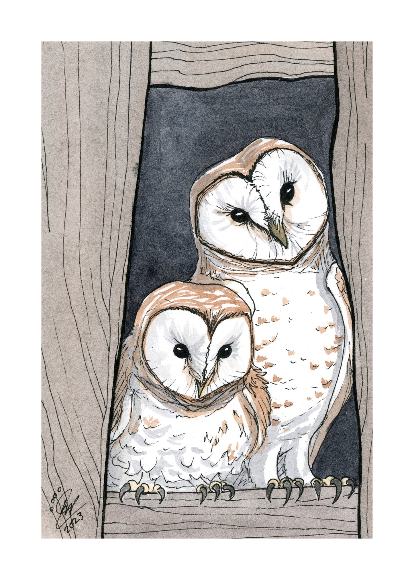 Barn Owls - Art Print