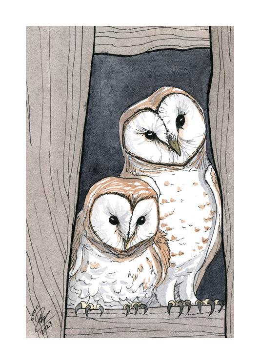 Barn Owls - Art Print