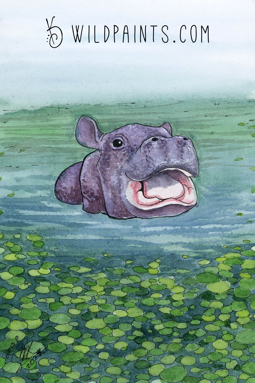 Baby Hippo - Art Print