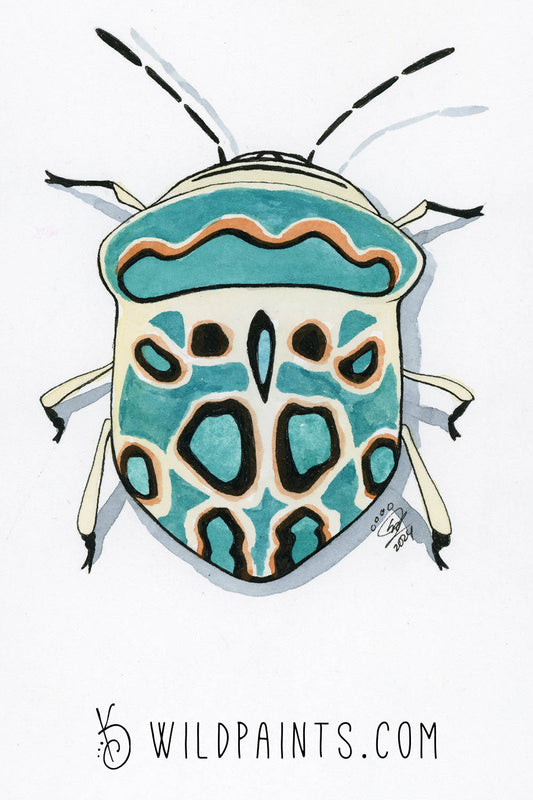 Picasso Bug - Art Print