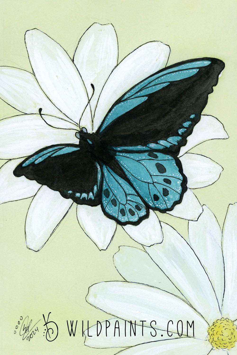 Blue Cairn's Birdwing Butterfly - Greeting Card