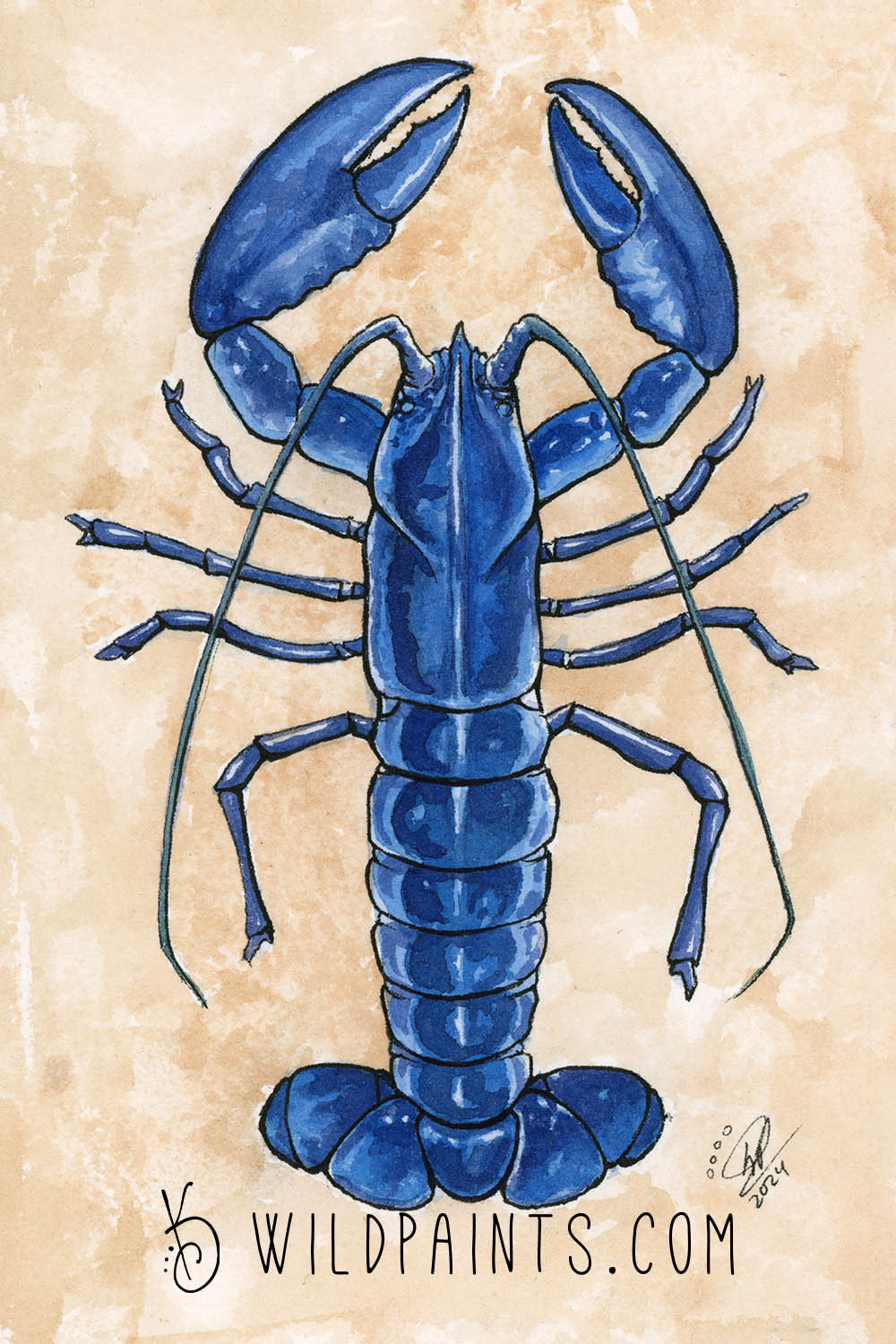Blue Lobster - Art Print