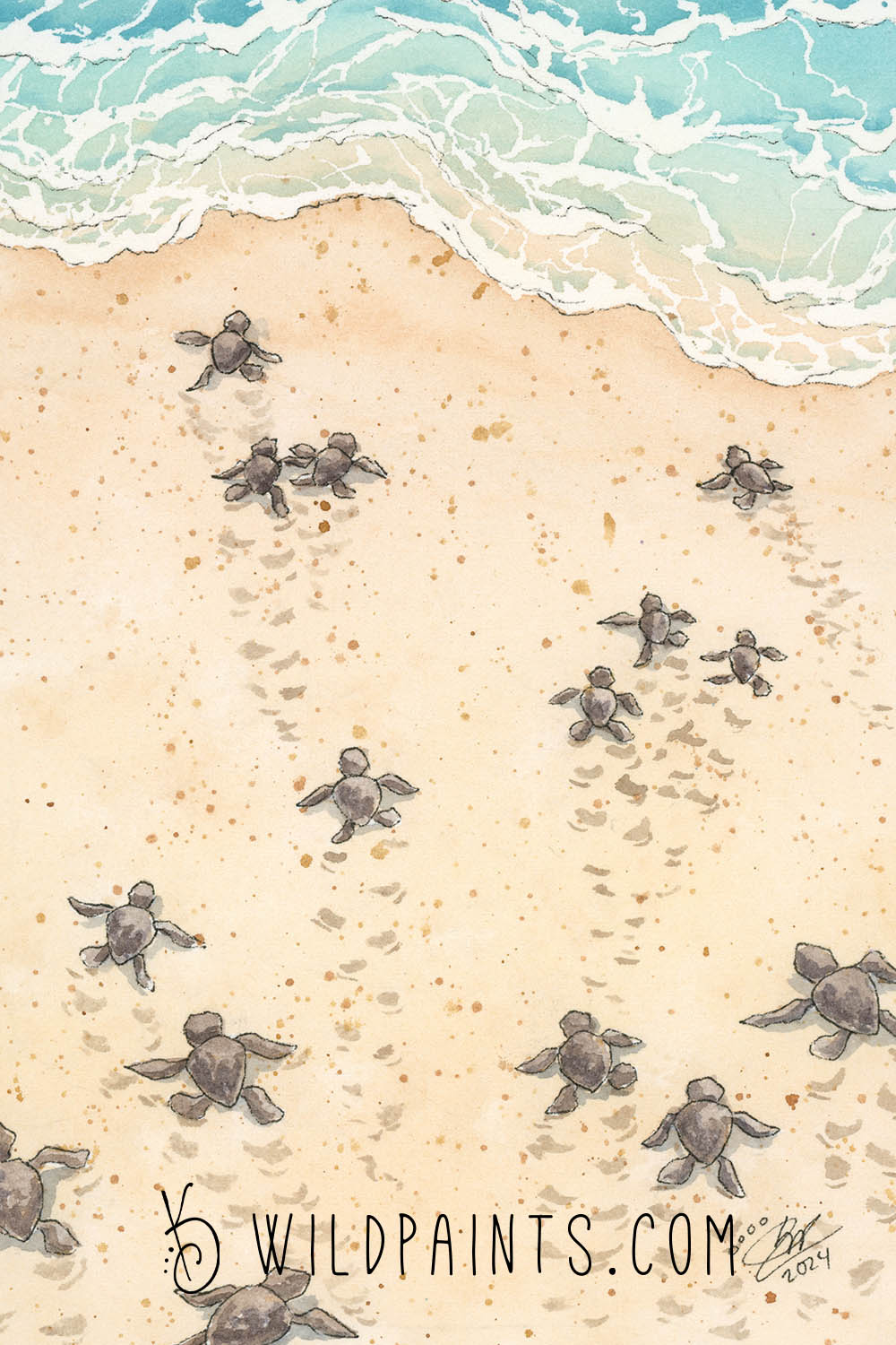 Baby Sea Turtles - Greeting Card