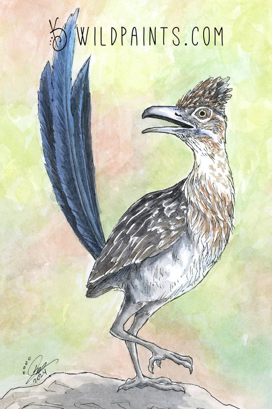 Roadrunner - Art Print