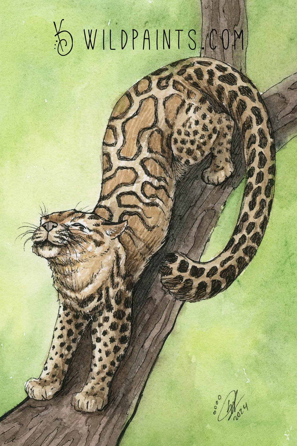 Marbled Cat - Art Print