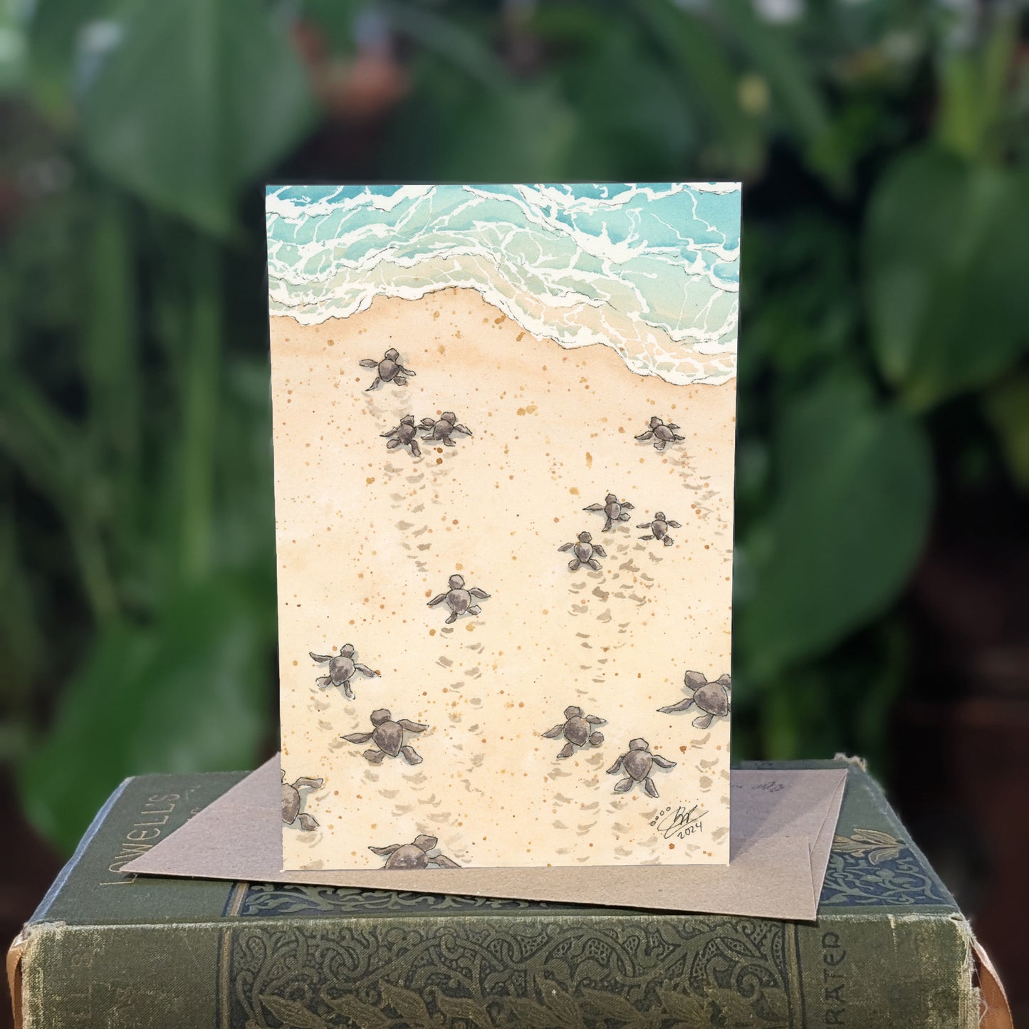 Baby Sea Turtles - Greeting Card