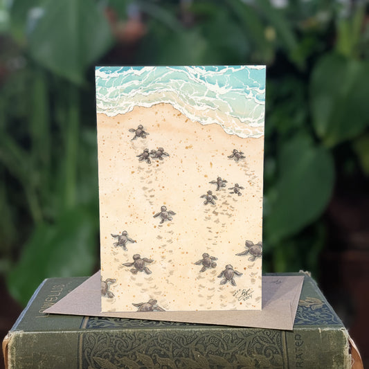 Baby Sea Turtles - Greeting Card