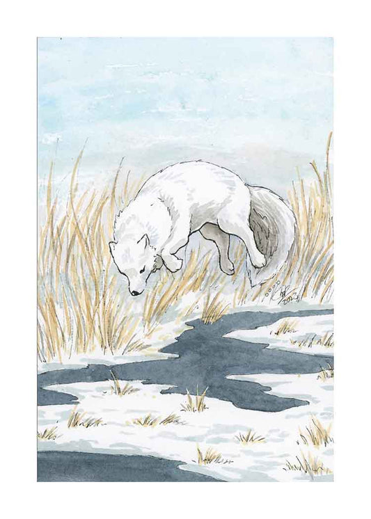Arctic Fox - Art Print
