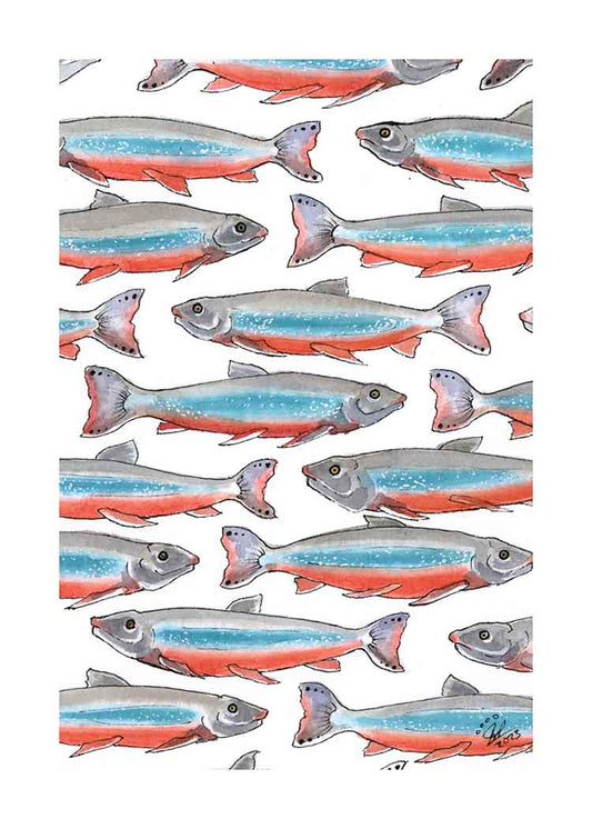Arctic Char - Art Print