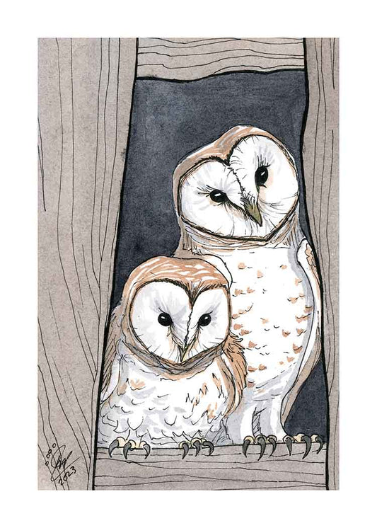 Barn Owls - Art Print