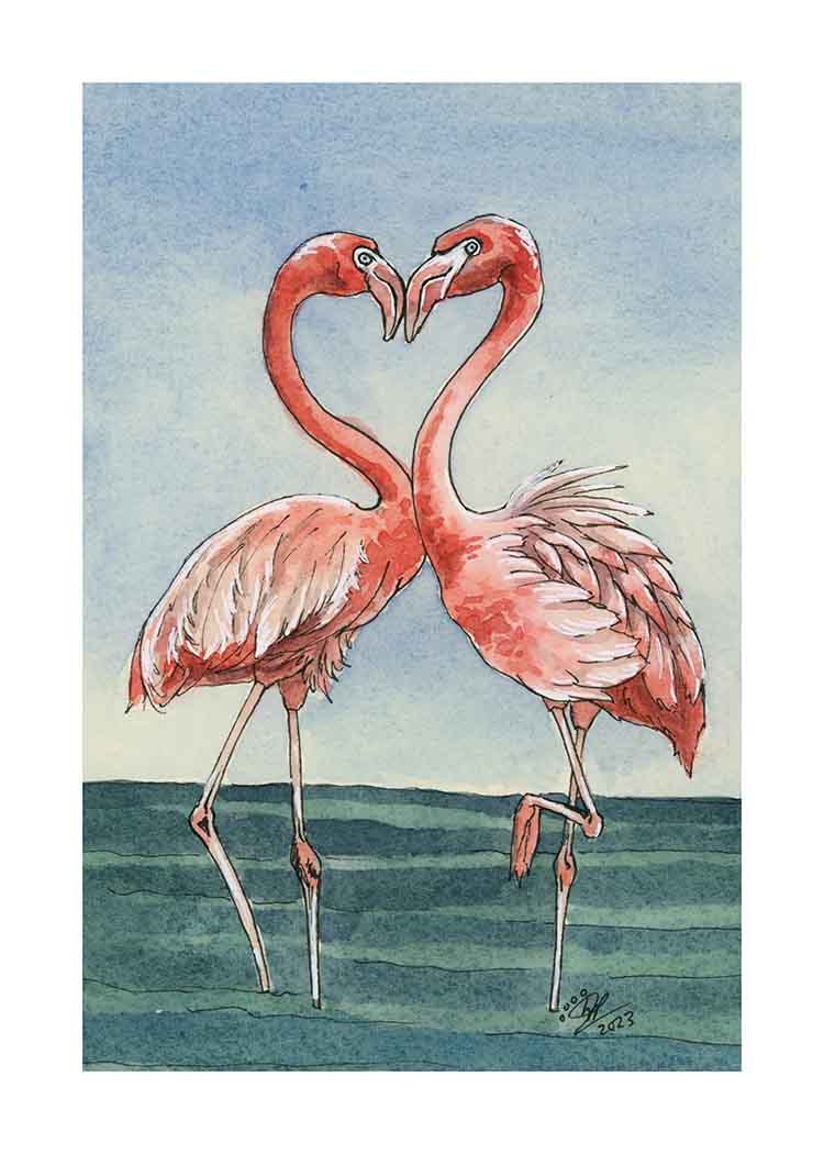 Flamingos - Art Print