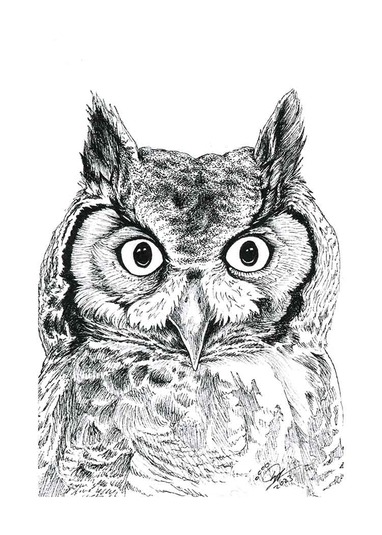 Great Horned Owl - Art Print