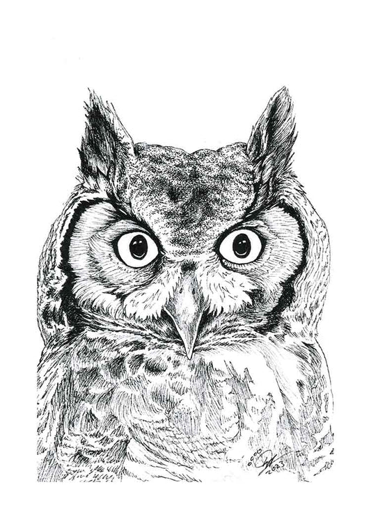 Great Horned Owl - Art Print