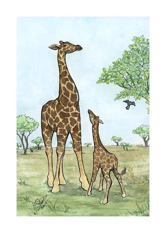 Giraffes - Art Print
