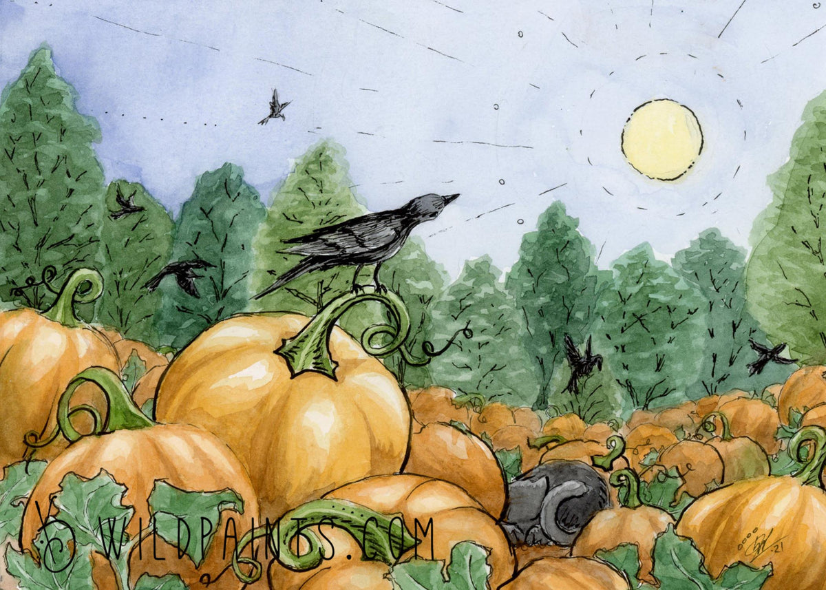Pumpkin Guardian & Guardian's Nap