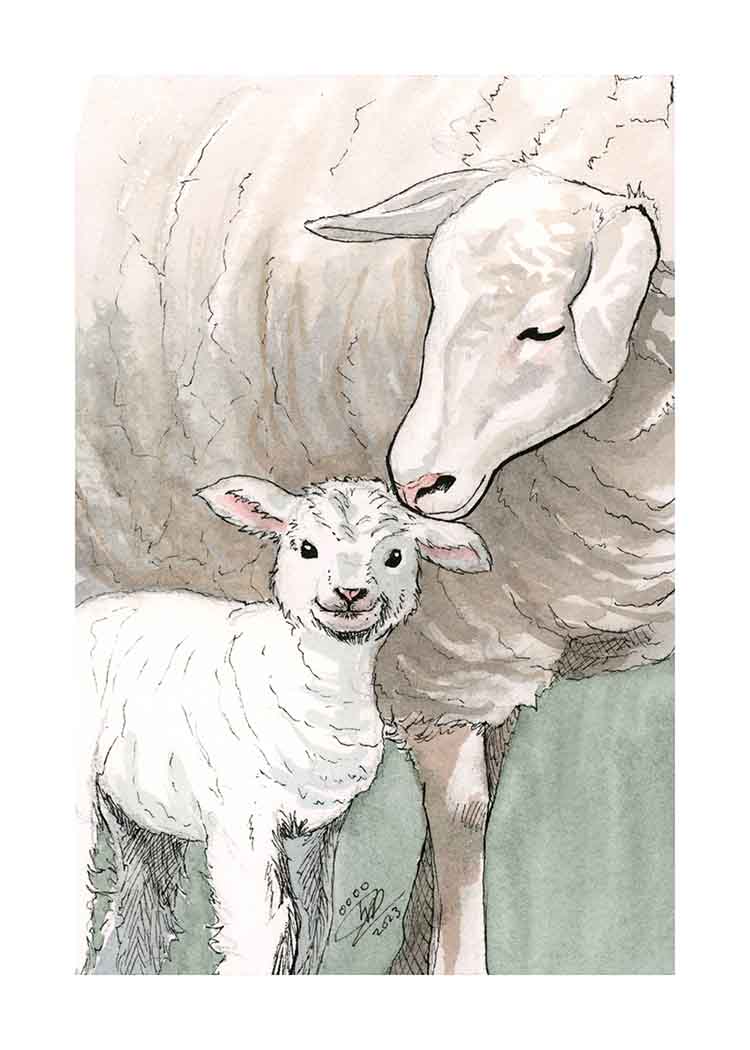 Lamb - Art Print