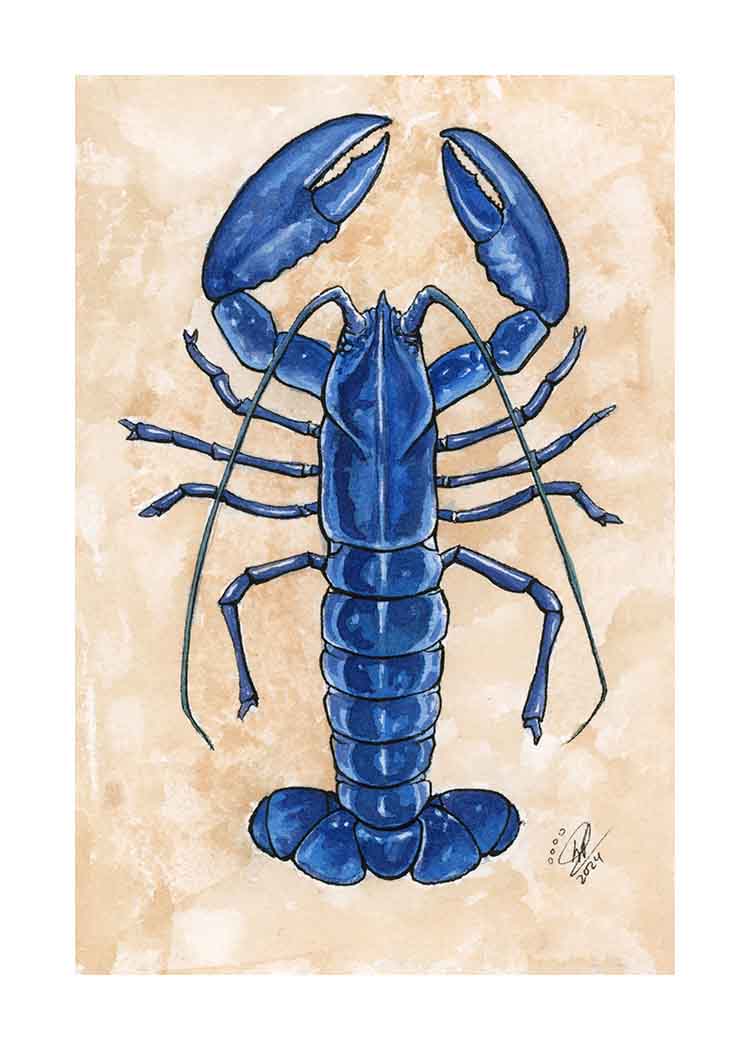 Blue Lobster - Art Print