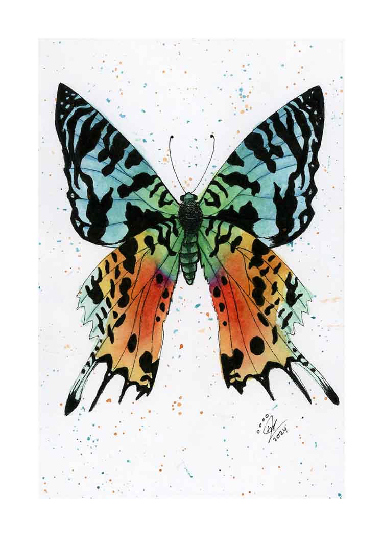 Madagascan Sunset Moth - Art Print