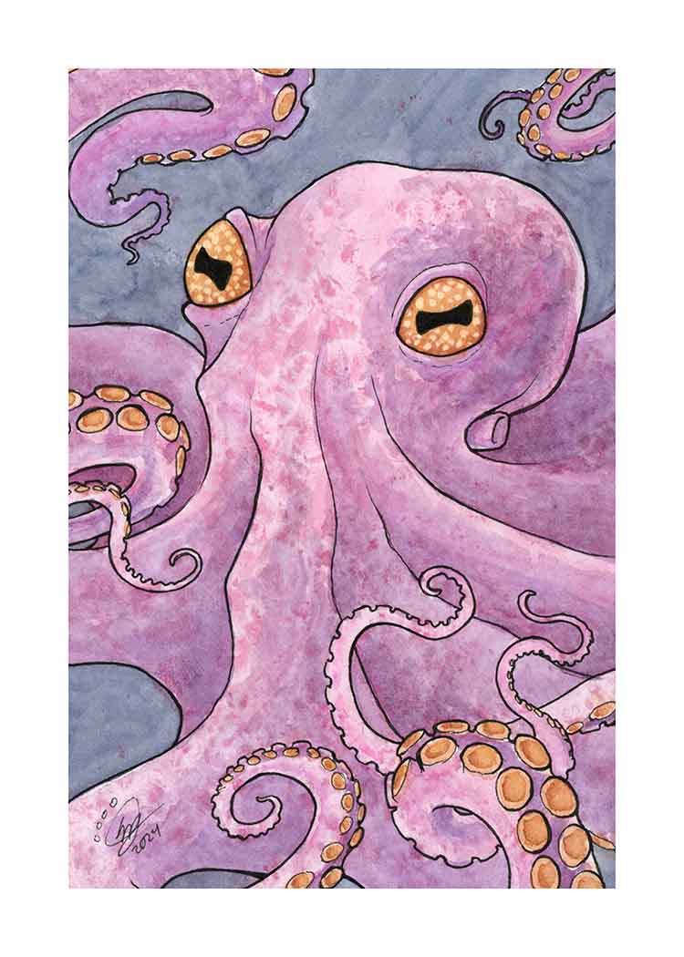 Octopus - Art Print