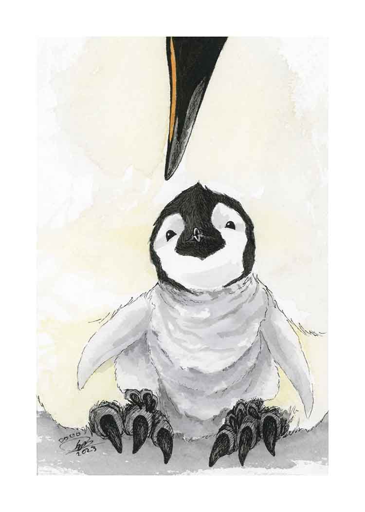 Baby Penguin - Art Print