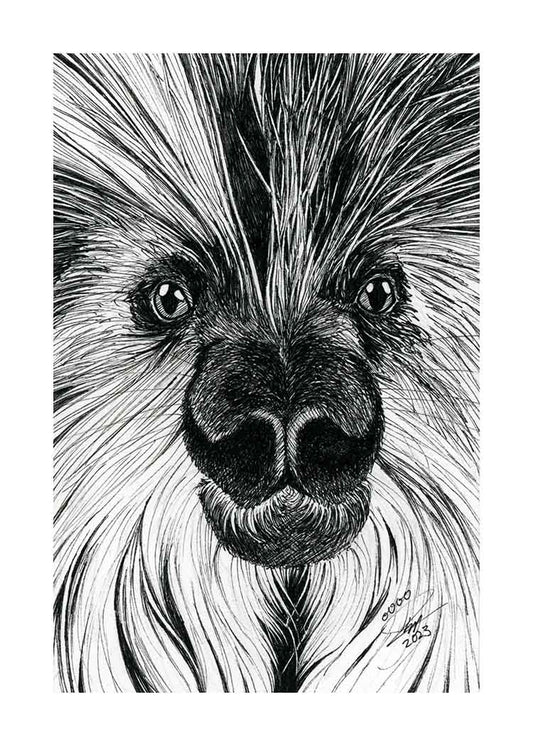 Porcupine - Art Print