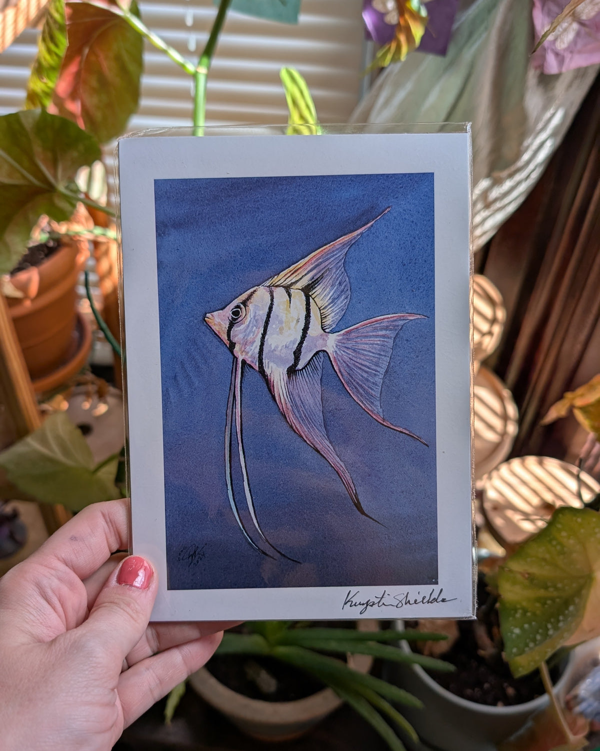 Angelfish - Art Print