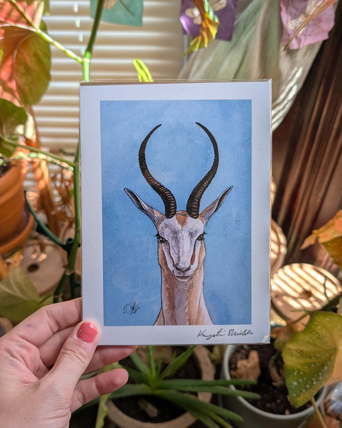 Antelope - Art Print