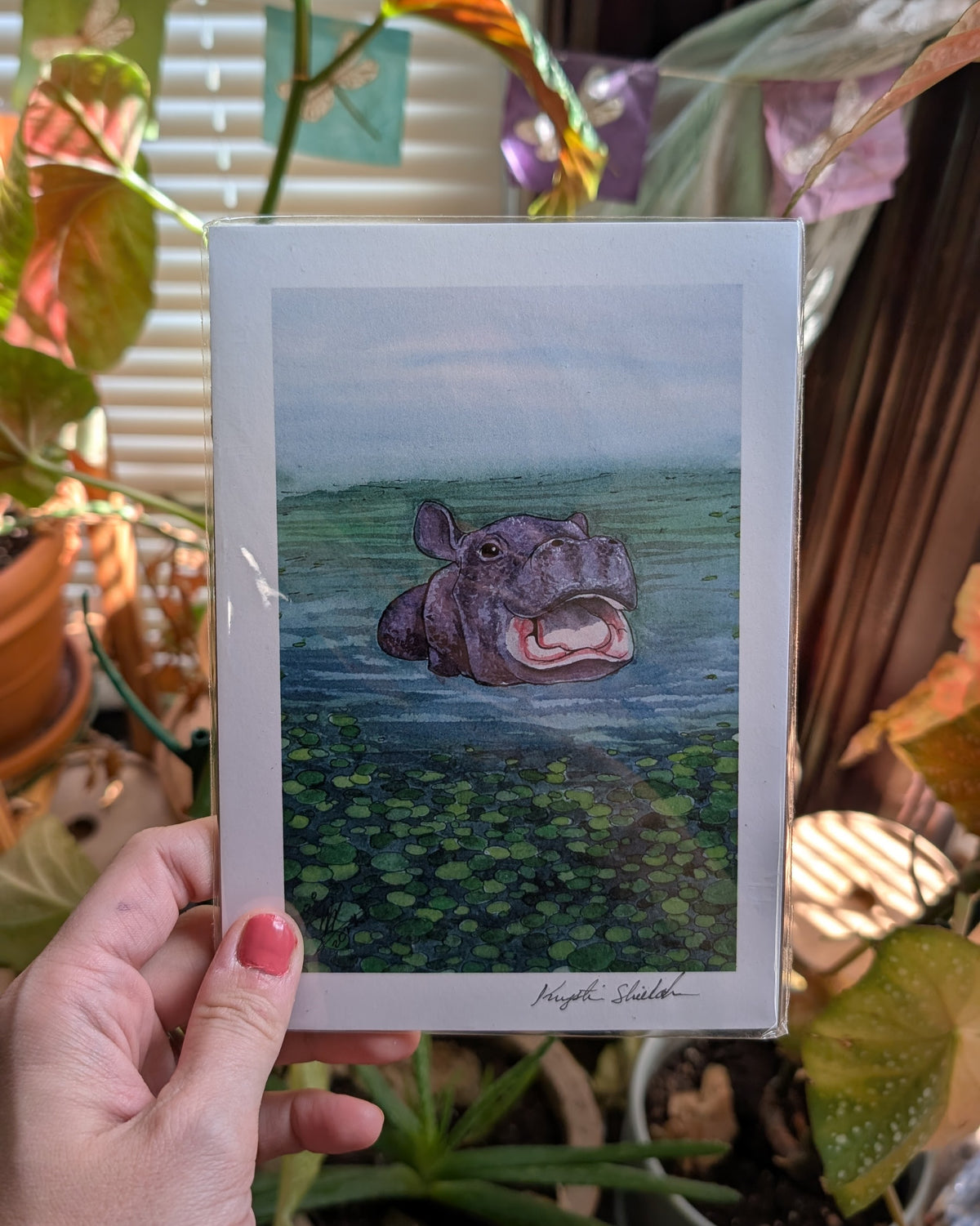 Baby Hippo - Art Print