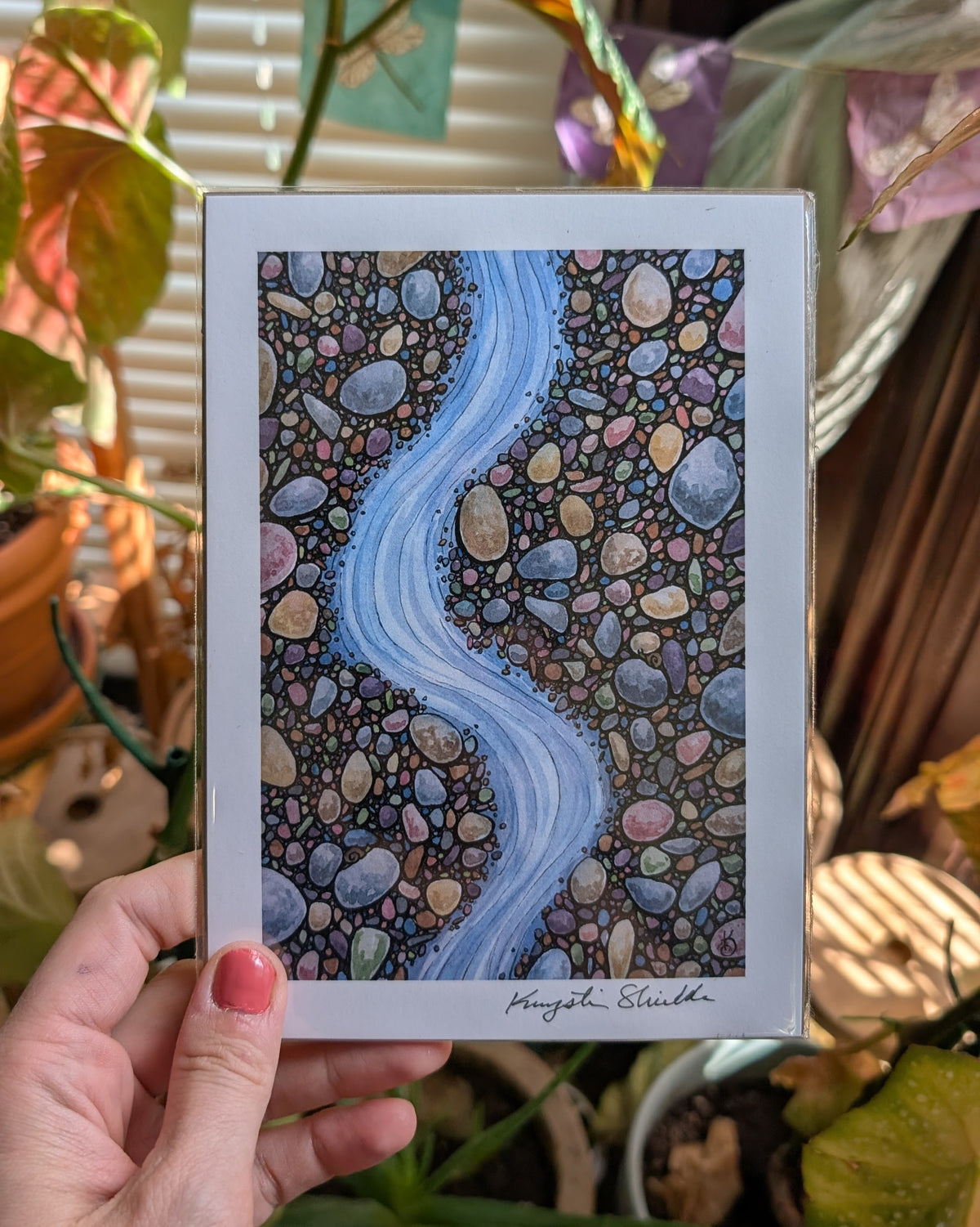 Pebble Brook - Art Print
