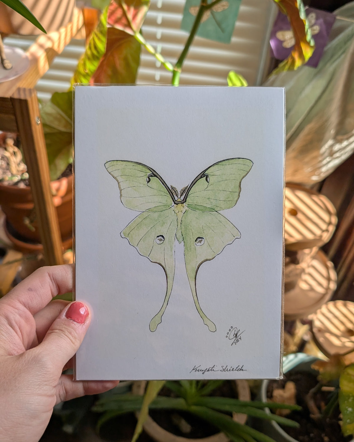 Luna Moth - Art Print