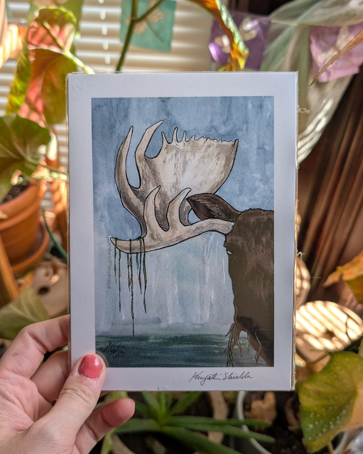 Moose - Art Print