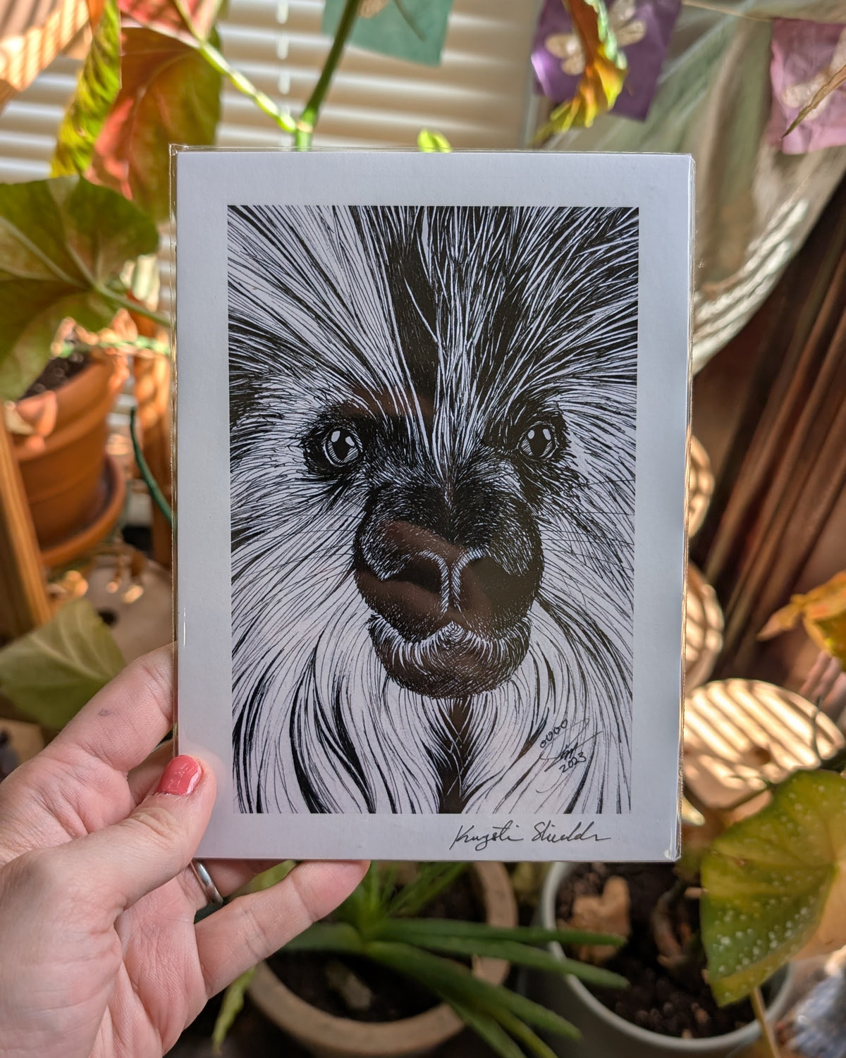 Porcupine - Art Print
