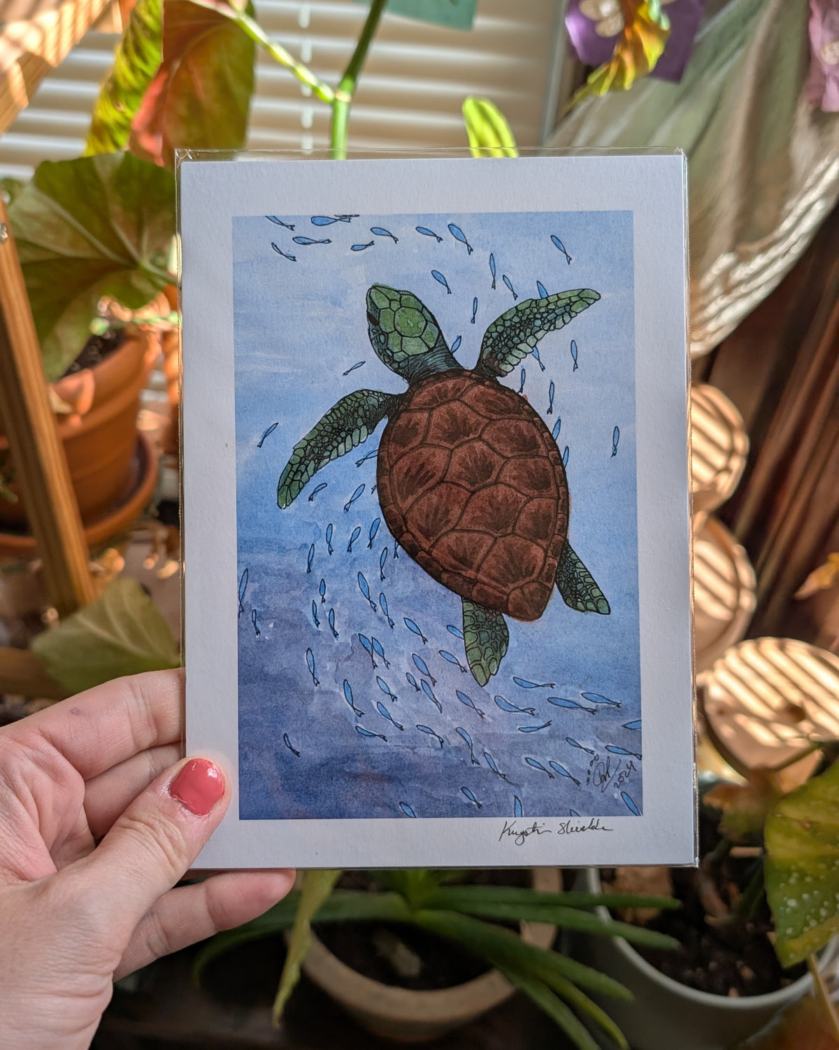 Sea Turtle - Art Print